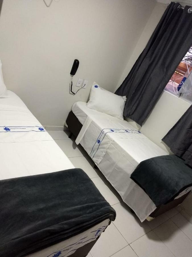 Hotel Flor Paulista Sao Paulo Dış mekan fotoğraf